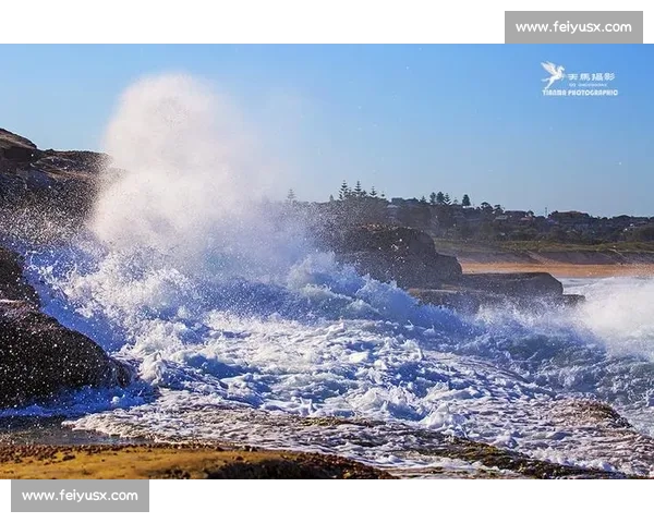 激荡浪花中的团结拼搏记一次难忘的划船比赛青春汗水与梦想飞扬时 激荡浪花中的团结拼搏记一次难忘的划船比赛青春汗水与梦想飞扬时